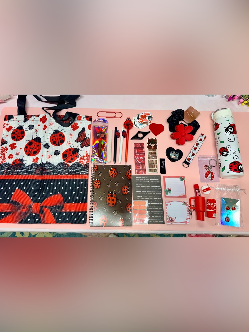 Ladybug Bookish and Beauty Bundle